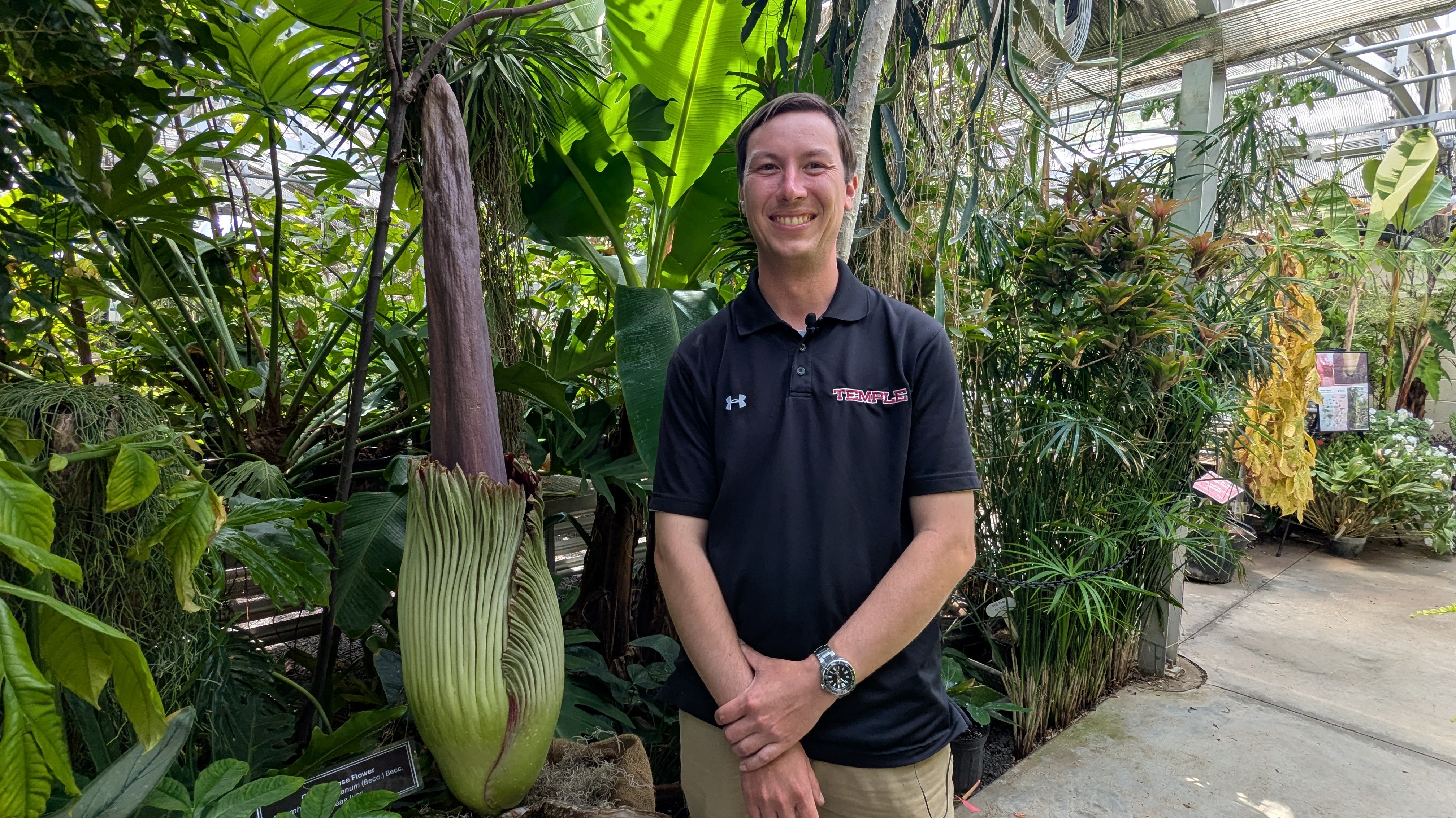 Corpse Flower Central | Ambler Campus | Temple University